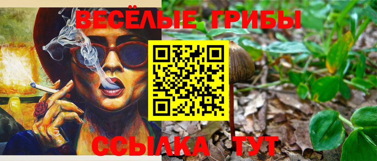 Псилоцибиновые грибы мицелий  Вход с VPN  Златоуст  Галлюциногенные грибы мицелий 
